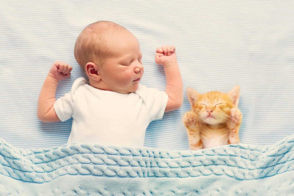 bebé y gato
