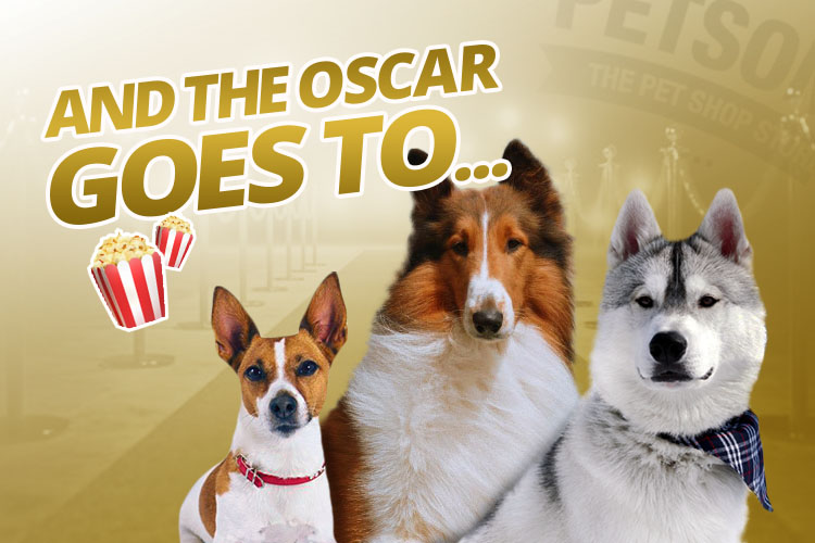 ¿Cuáles son los perros famosos del cine?