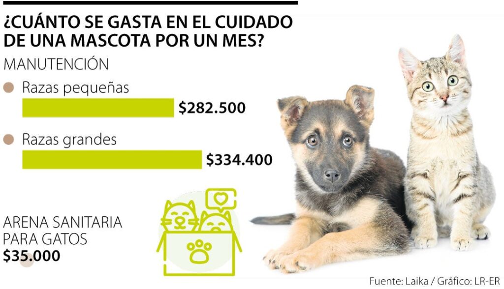 ¿Cuánto cuesta el cuidado de perros?