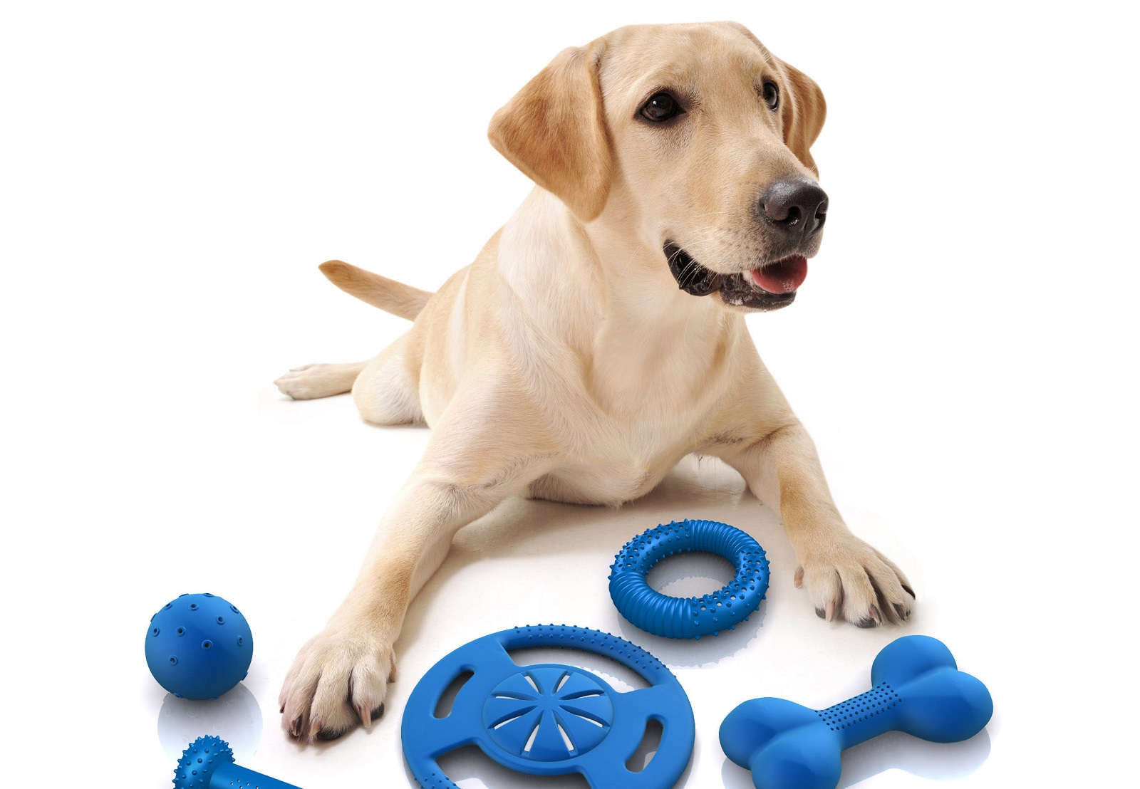 existe el juguete indestructible para perros
