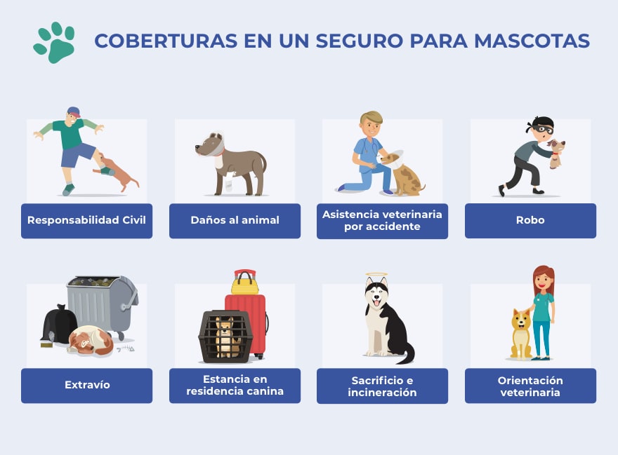 Garantías de los contratos de seguros de salud para perros