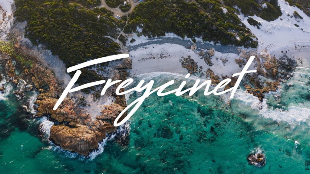 Descubre la encantadora belleza del Talegallo de Freycinet: Un tesoro escondido en la naturaleza